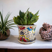 Cargar imagen en el visor de la galería, Maceta violetera chica Talavera