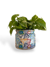 Cargar imagen en el visor de la galería, Maceta Lechero Mediana Floral