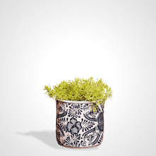 Cargar imagen en el visor de la galería, Maceta Cilindro chica Azul con blanco