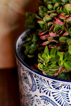 Cargar imagen en el visor de la galería, Maceta Cilindro chica Azul con blanco