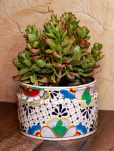 Cargar imagen en el visor de la galería, Maceta Lechero Grande Talavera