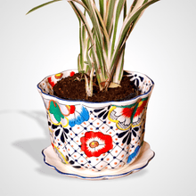 Cargar imagen en el visor de la galería, Maceta Violetera Grande Talavera