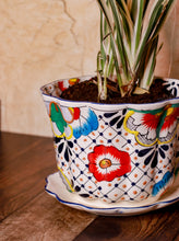 Cargar imagen en el visor de la galería, Maceta Violetera Grande Talavera