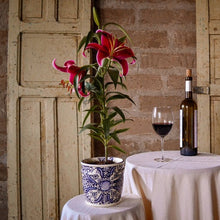 Cargar imagen en el visor de la galería, Maceta Barril 15 cm azul con blanco