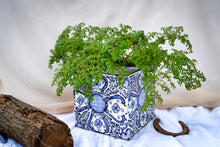Cargar imagen en el visor de la galería, Maceta cuadrada chica Azul con Blanco